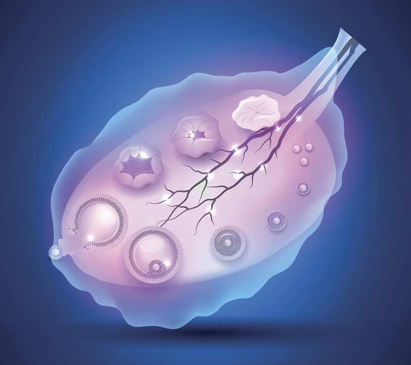郑州怀孕做试管婴儿的医院,郑州做试管好的医院！